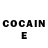 COCAIN Fish Scale Sasha Savchik