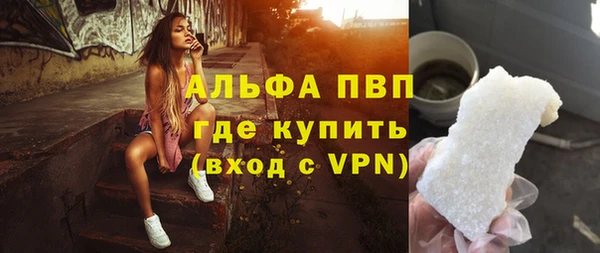 шишки Дмитров