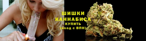 шишки Дмитров