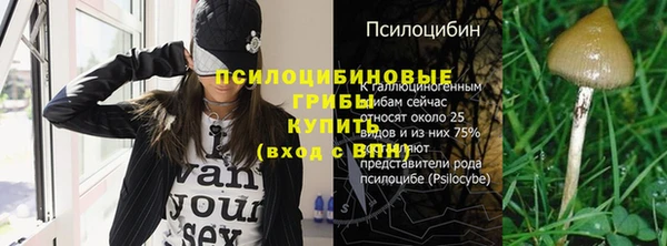 шишки Дмитров