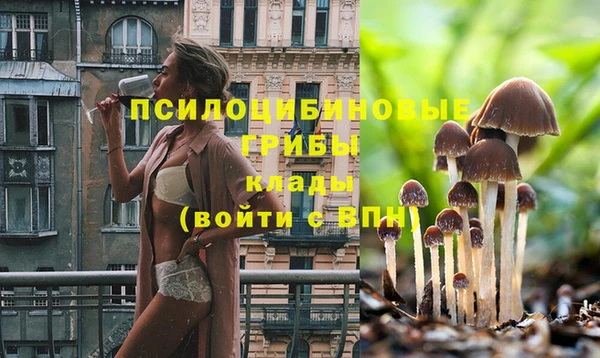 шишки Дмитров