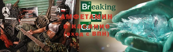 шишки Дмитров