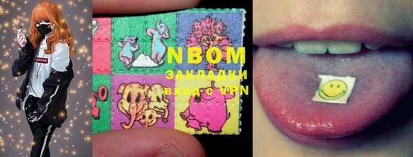 шишки Дмитров